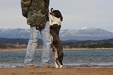 ADULTE ET CHIEN 201